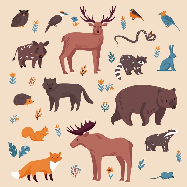 Bosque animales Color Set — Vector de stock