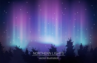 Arktik Borealis Gerçekçi Vektör İllüstrasyonu