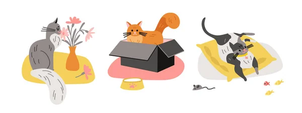 可爱的猫组合集 — 图库矢量图片