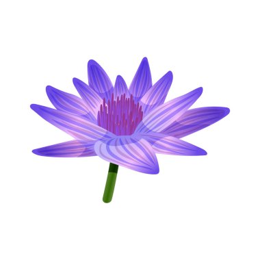 Mavi Lotus Çiçeği Kompozisyonu