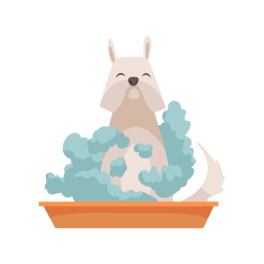 Köpük Kompozisyonu