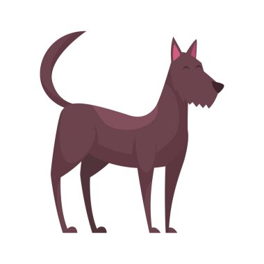 Güzel Köpek Bakımı Kompozisyonu