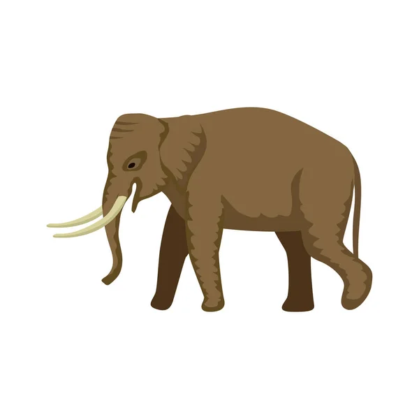 Tropical Elephant Tourism Composition — Stockový vektor