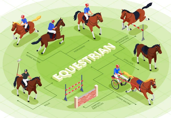 Equestrian Sport Flowchart — Stock Vector