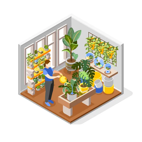 Plantas Composición Ilustración — Vector de stock