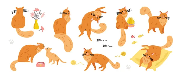 Kızıl Kediler Simgesi Koleksiyonu — Stok Vektör