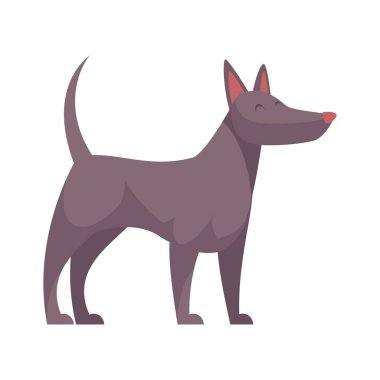 Gri Köpek Bakım Kompozisyonu