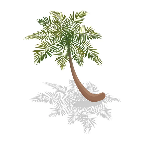 Curvy Palm Isometrisk sammansättning — Stock vektor