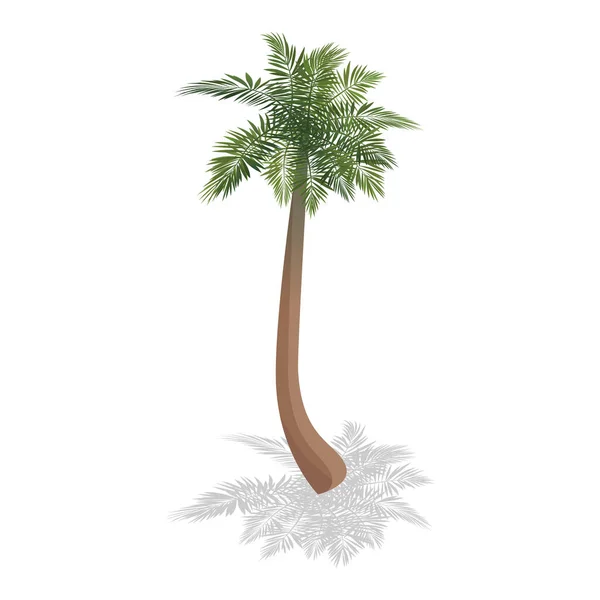 Isometric Beach Palm Composition — Stock Vector