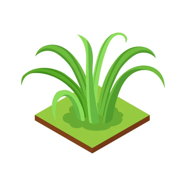 Composición de la planta isométrica de la selva — Vector de stock