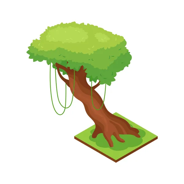 Selva Árbol exótico Composición — Vector de stock