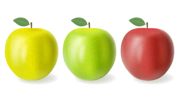 Conjunto de maçãs realistas coloridas — Vetor de Stock