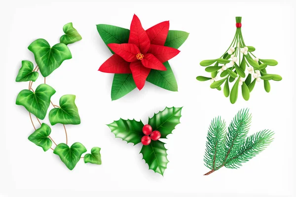 Ensemble réaliste de plantes de Noël — Image vectorielle