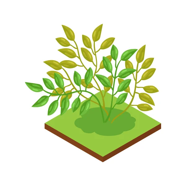 Composición de la planta de hojas de selva — Vector de stock