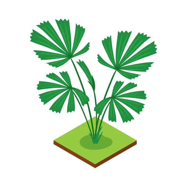 Selva Licuala Composición isométrica — Vector de stock