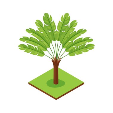 Orman Ravenala Isometric Kompozisyonu