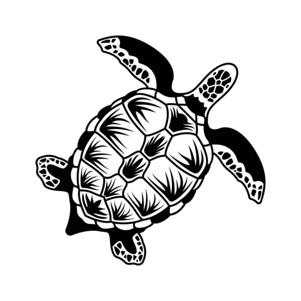 Composición de tortuga dibujada a mano — Archivo Imágenes Vectoriales
