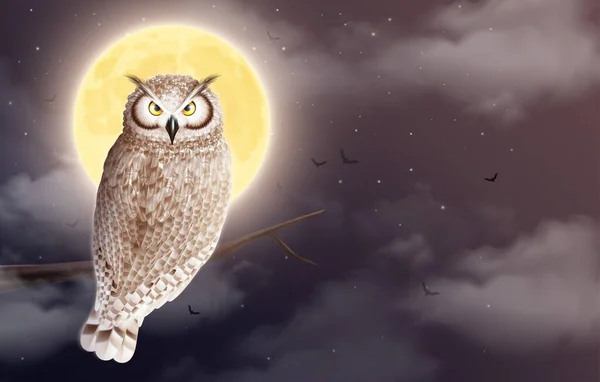 《月亮猫头鹰之夜》 — 图库矢量图片
