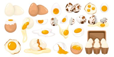 Whole And Cracked Poultry Eggs Set clipart