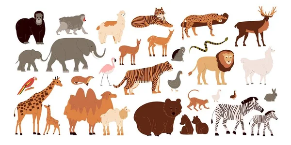 Conjunto de animales del zoológico — Vector de stock