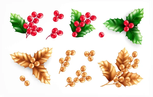 Julen växter dekoration Set — Stock vektor