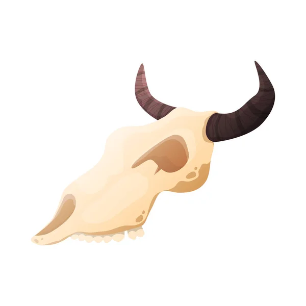 Coyote Skull West Composizione — Vettoriale Stock