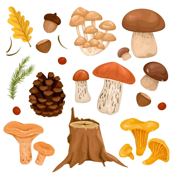Forest Mushrooms Set — Stock Vector
