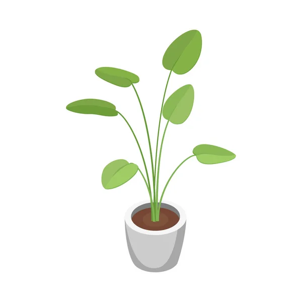 Isometric Home Plant Composition — Stock vektor