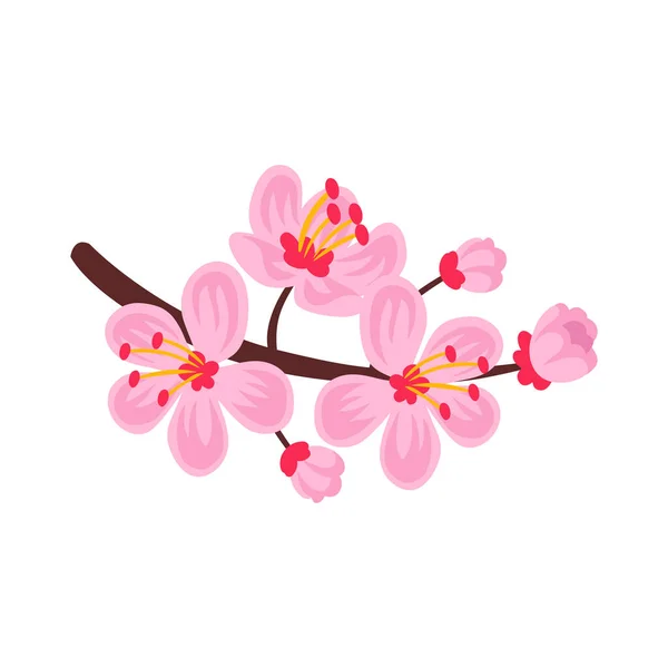 Japanse Sakura Branch Samenstelling — Stockvector