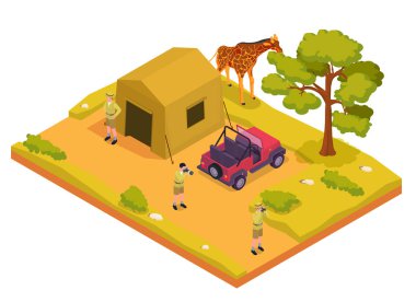 Safari Isometric Renkli Konsepti
