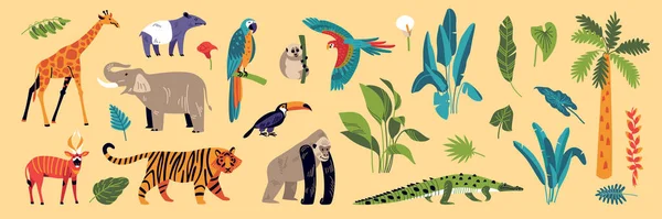 Набір кольорів природи джунглів — стоковий вектор