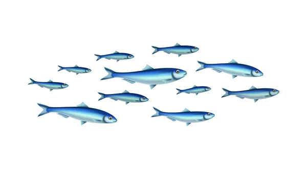 Kil av fiskar Sammansättning — Stock vektor