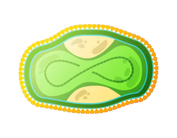 Poxviridae Human Virus Composition — Stockový vektor