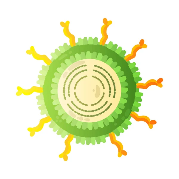 Σύνθεση ανθρώπινου ιού ροταϊού — Διανυσματικό Αρχείο