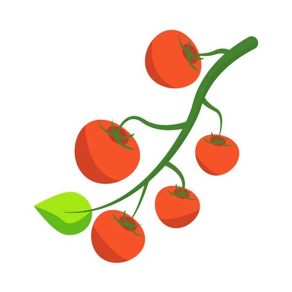 Farmers Market Tomatoes Composition —  Vetores de Stock
