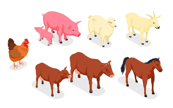 Farm Animals Veterinary Isometric Colored Icon Set — Stock Vector