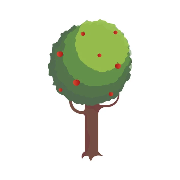 Isometrische samenstelling van de bomen op het platteland — Stockvector