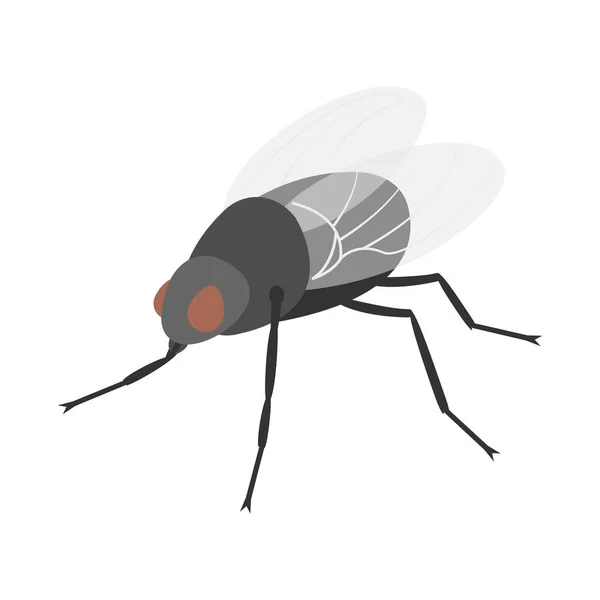 Fly Insect Isometric Composition — Stock Vector