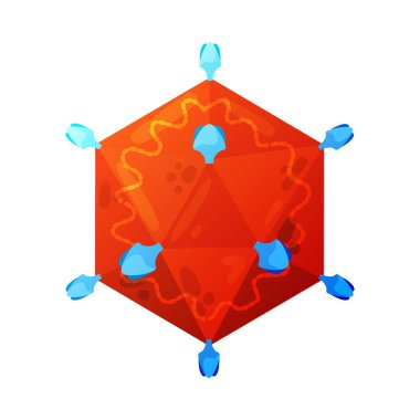 Tectiviridae Renk Virüsü Bileşimi