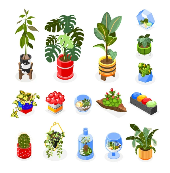 Conjunto de iconos isométricos de plantas — Archivo Imágenes Vectoriales