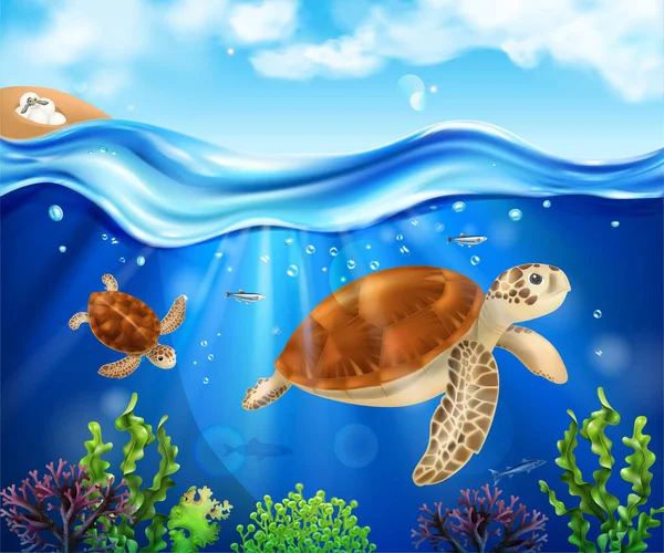 Turtle livscykel bakgrund — Stock vektor