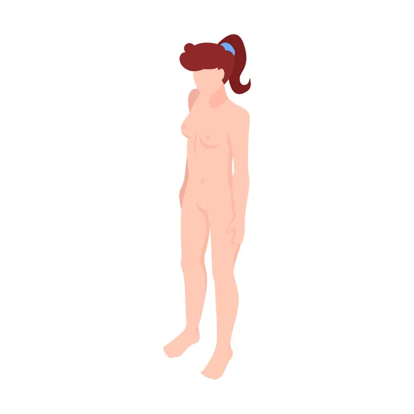 解剖女性的身体组成 — 图库矢量图片