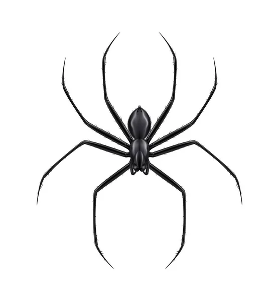 Illustration der schwarzen Spinne — Stockvektor