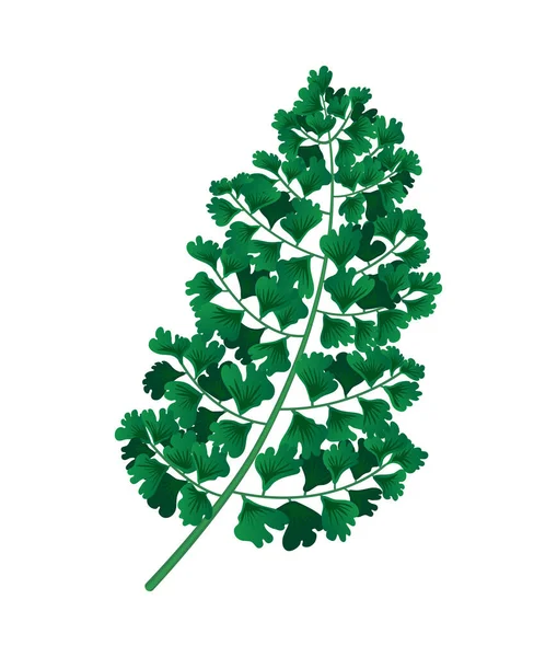 Prehistorische illustratie van planten — Stockvector