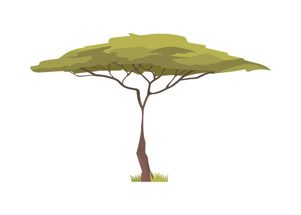 Ikona akátového stromu — Stockový vektor