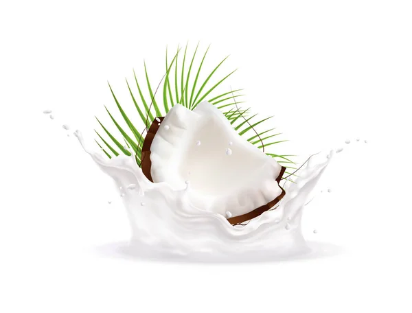 코코넛 우유 그림 — 스톡 벡터