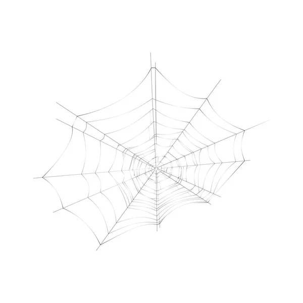 Spider web illustration — Stock vektor