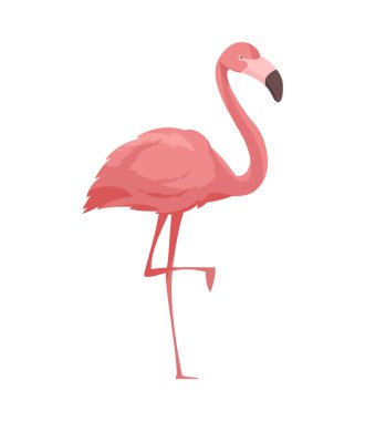 Flamingo Düz Çizim