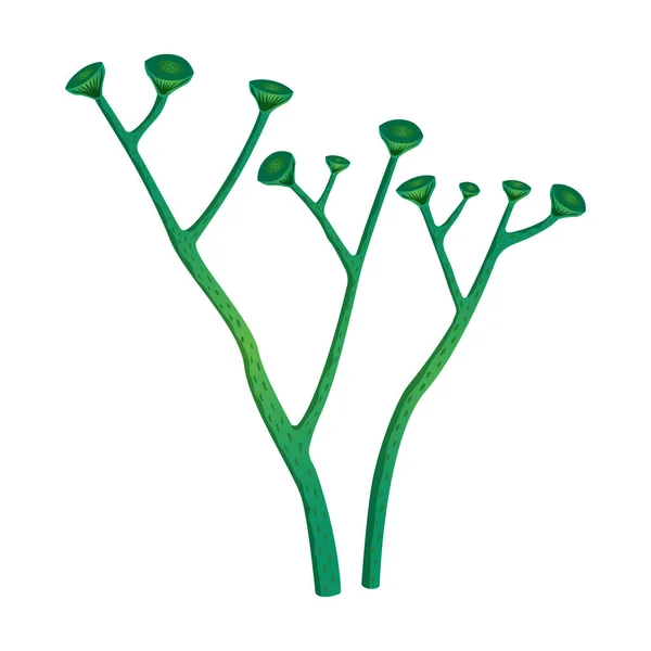 Prehistorická ilustrace rostlin — Stockový vektor