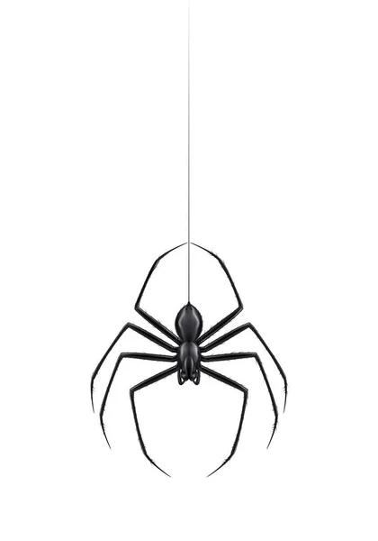 Ilustración realista araña — Vector de stock